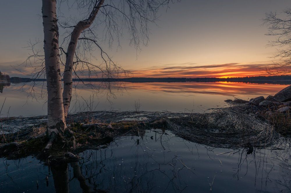 День Рождения зари....