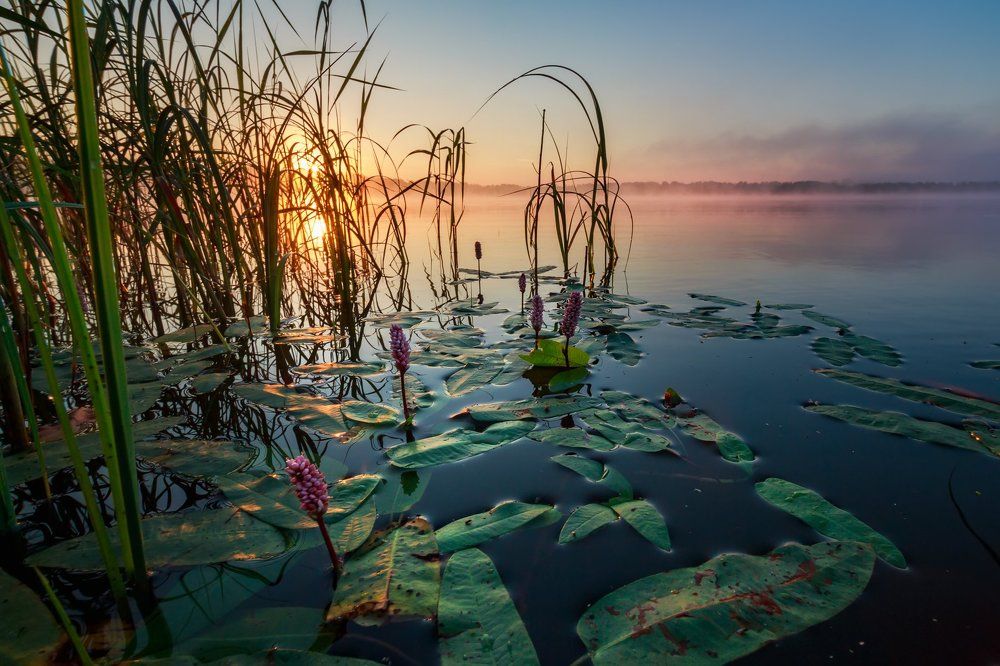 Очередь за Солнцем