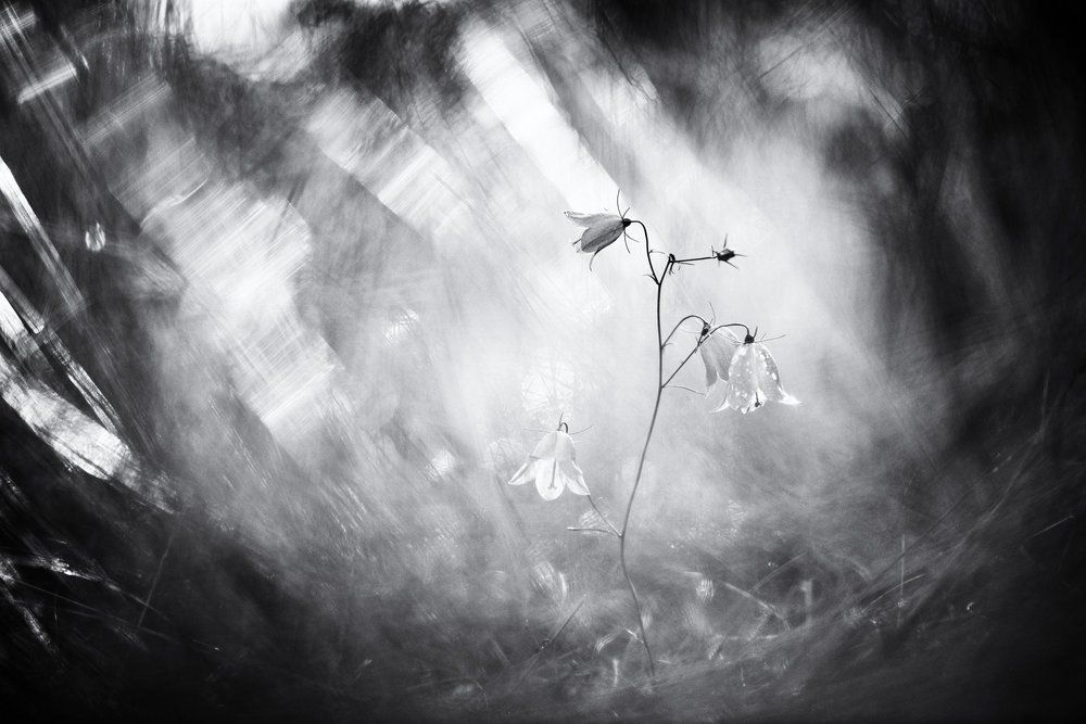 Смена декораций