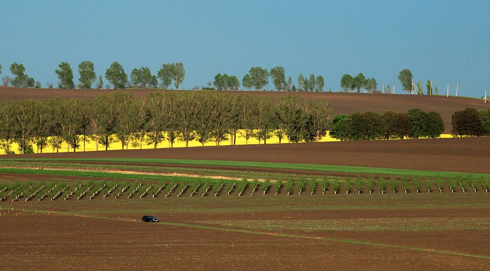 Photograph by Олег