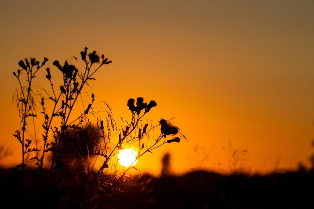 Photograph by Пикулов Игорь