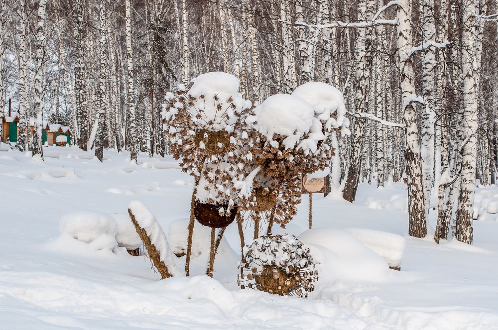 Зимнее чудо