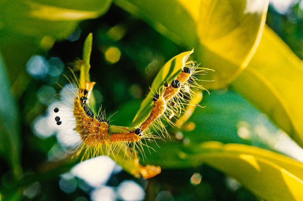 stay together, eat together