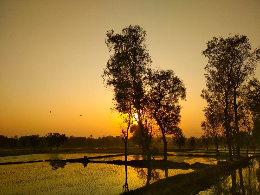 Sunset