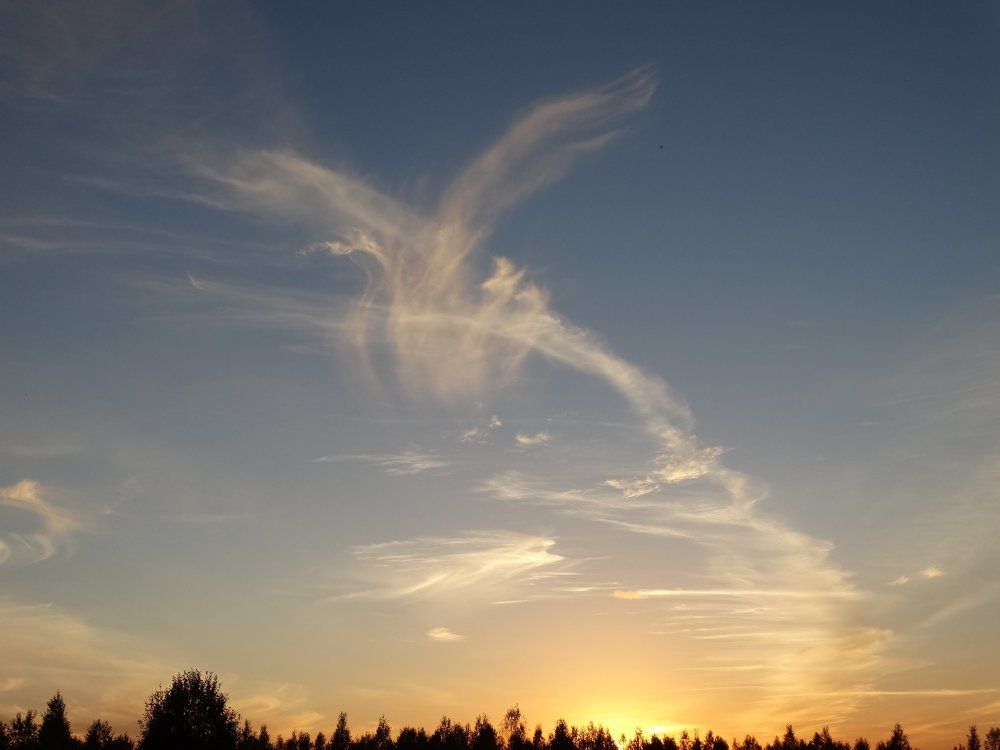 Небесный лебедь