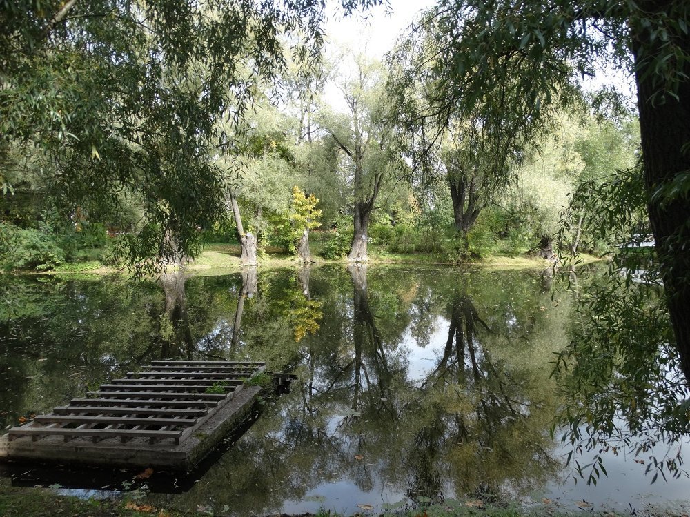 Тихий уголок