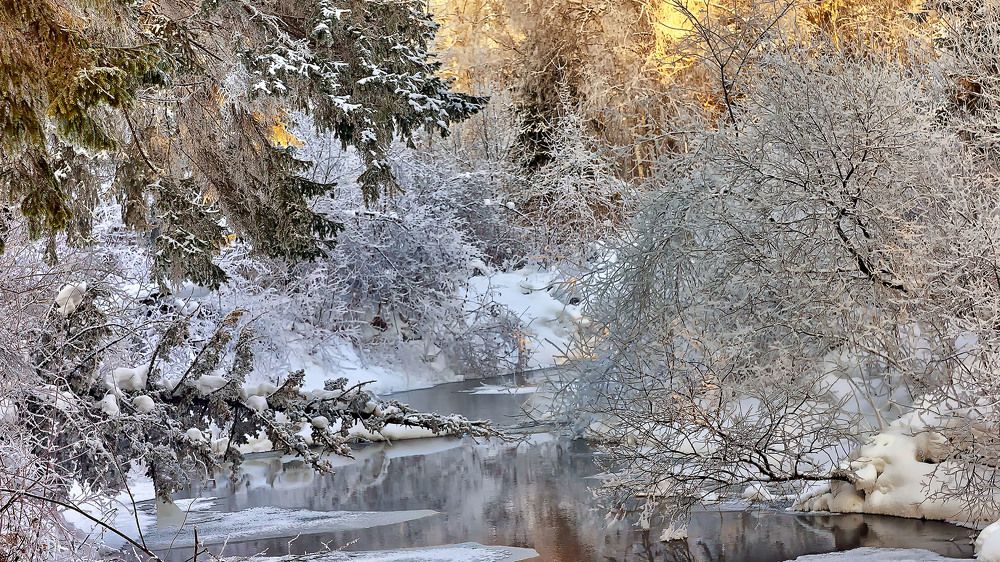 Таёжная речка. Схватка сморозом