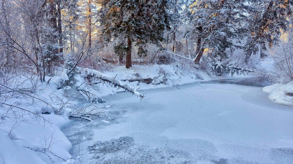 Таёжная речка