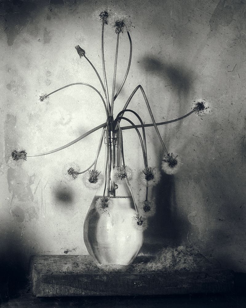 Photograph by Petya Radkova