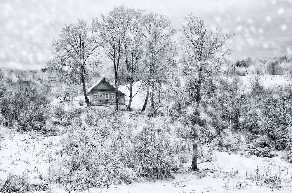 Ожидание Нового года