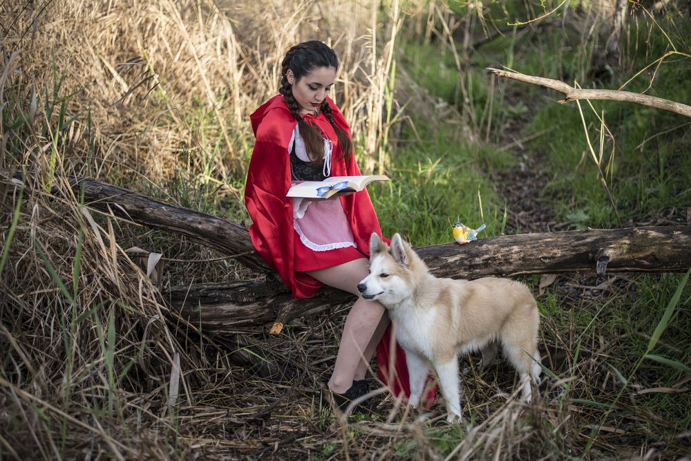Little Red Riding Hood and the Wolf