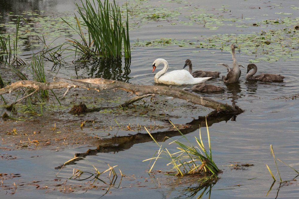 Photograph by Алексей Кашин