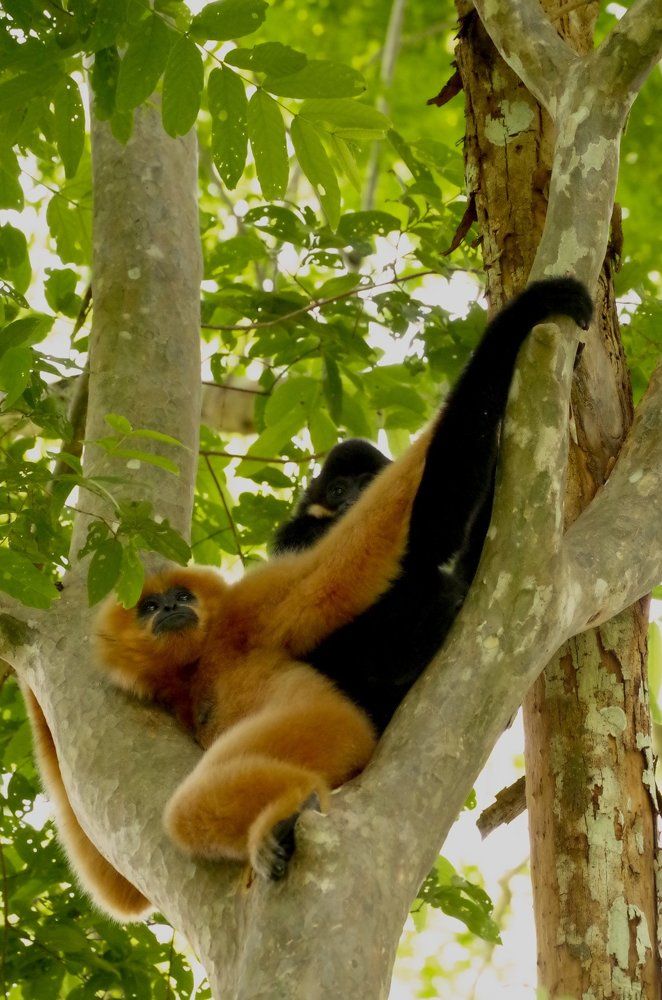 Там вдали за горизонтом