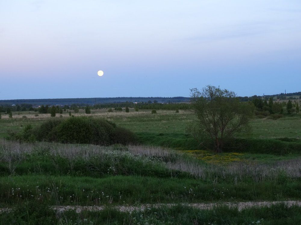 Photograph by Елена Стрельцова