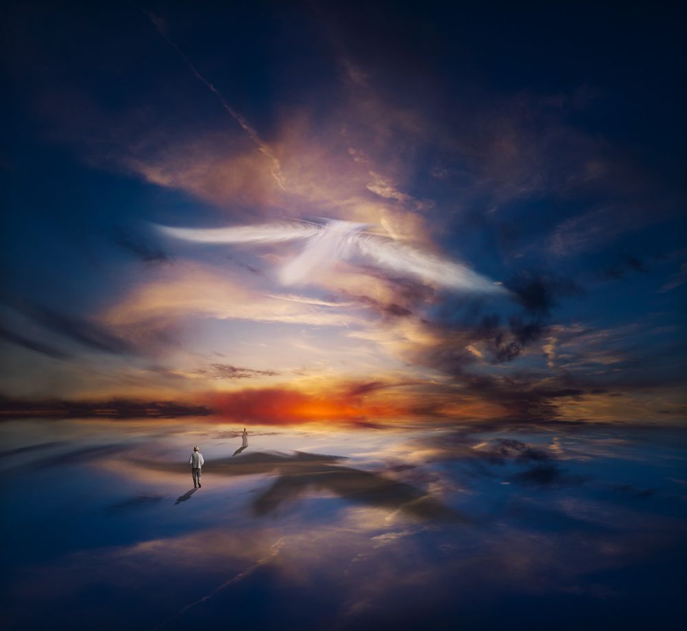 Between Light and Shadow