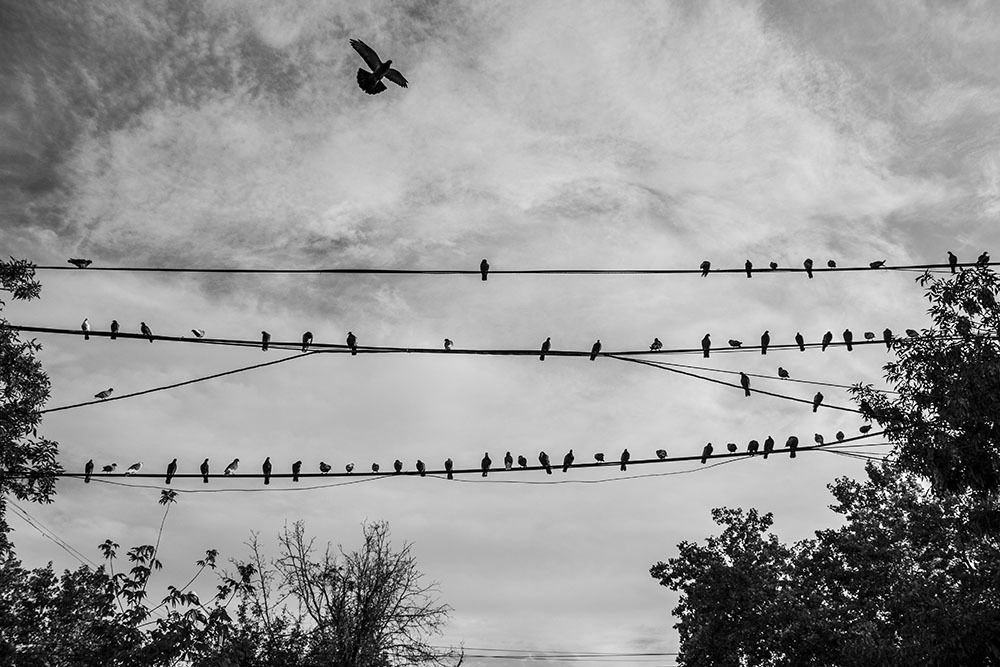 Свабодный полет