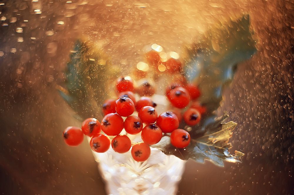 Горит костер рябины красной