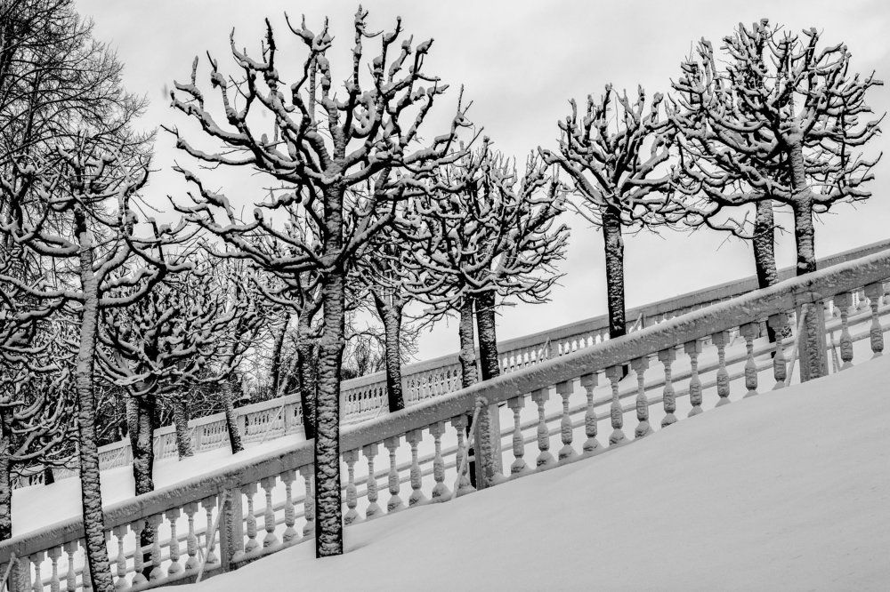 Петергоф. Зима.