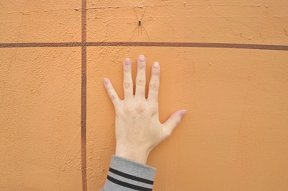 Photograph by Александр Крохов