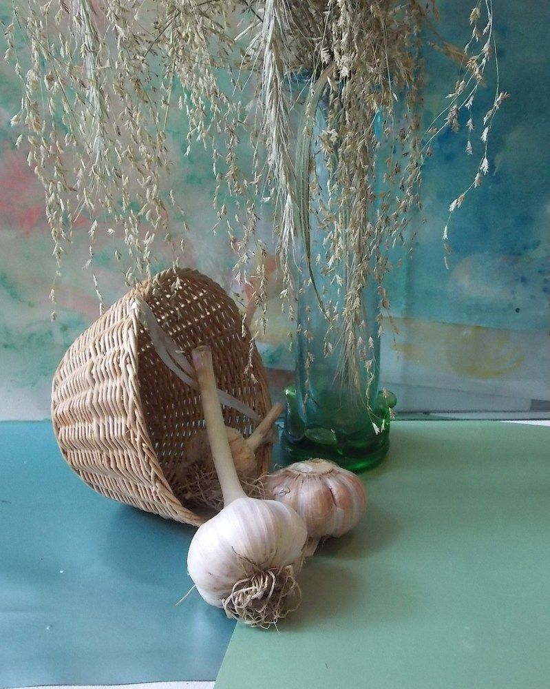 натюрморт с чесноком