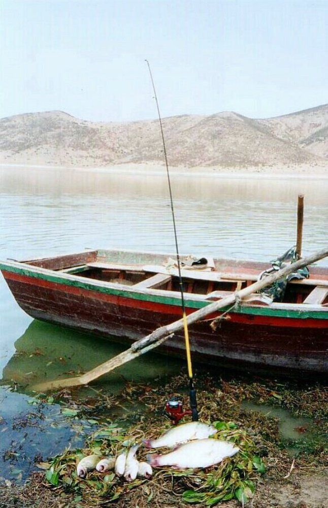 Fishing Day in Morocco