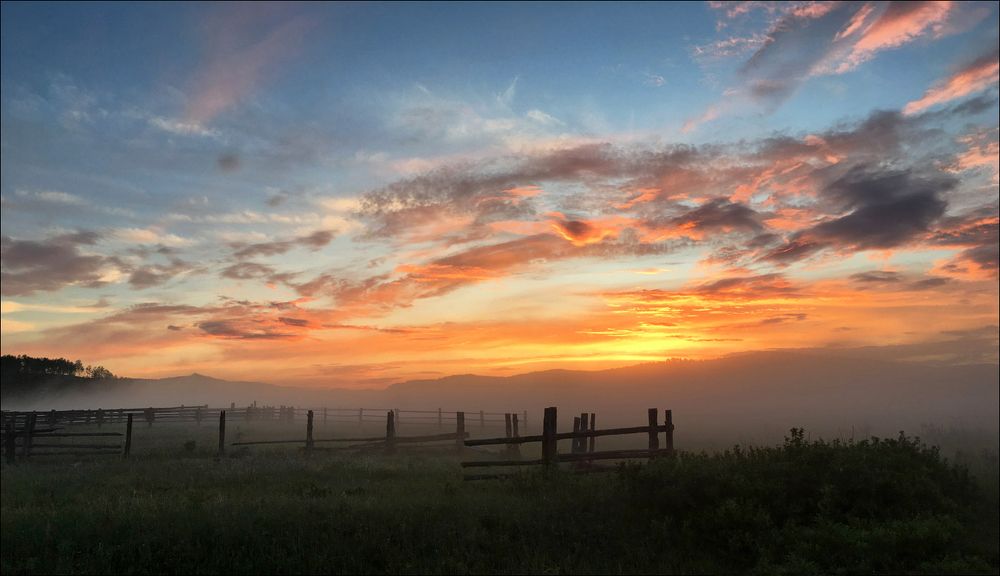 После вечернего дождя
