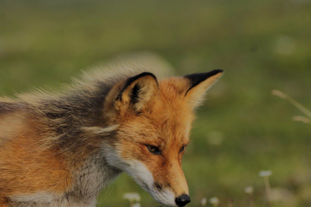 Самого главного глазами не увидишь