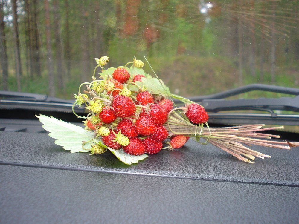 Букет