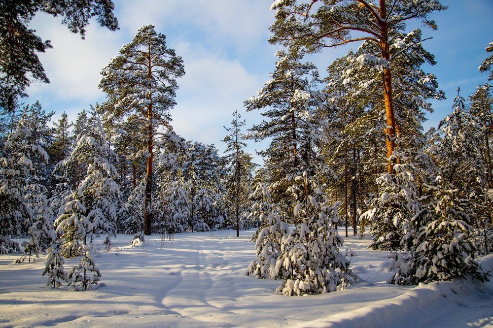*Пришла,рассыпалась*