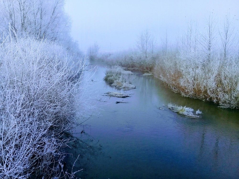 Стоянка русалки