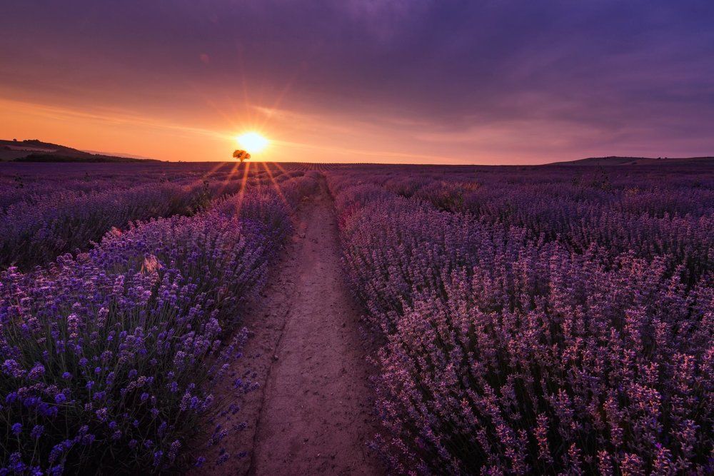 Летни спомени