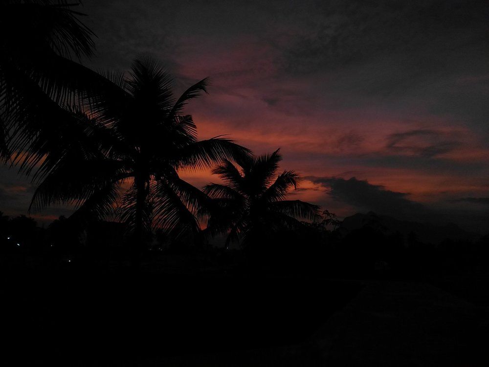 Nature