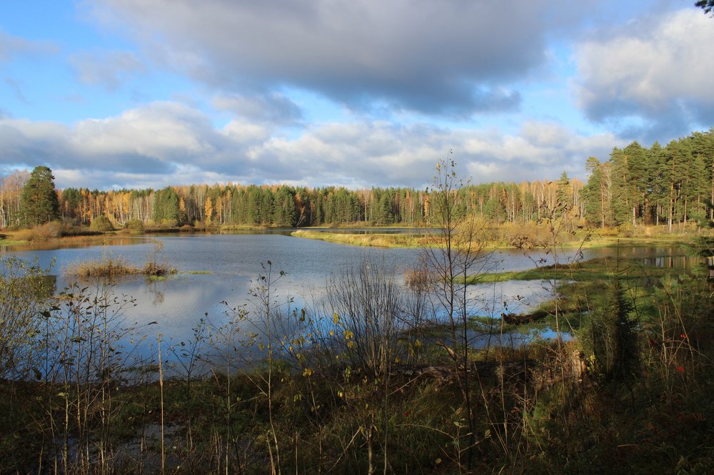Осень на Рене