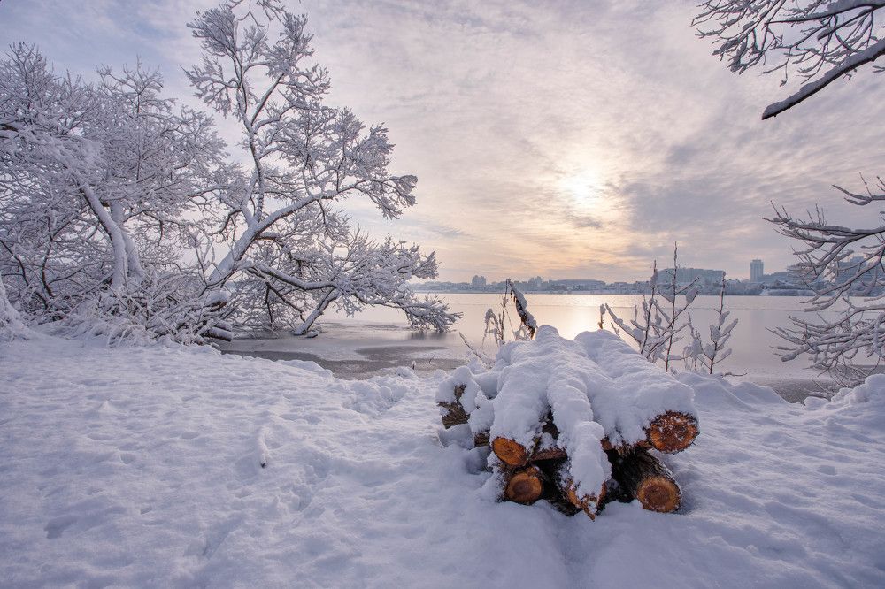 Заснеженное утро