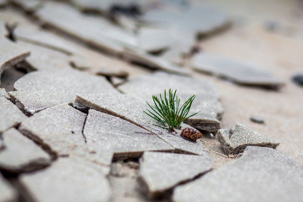 Ты еще не видел чуда?...