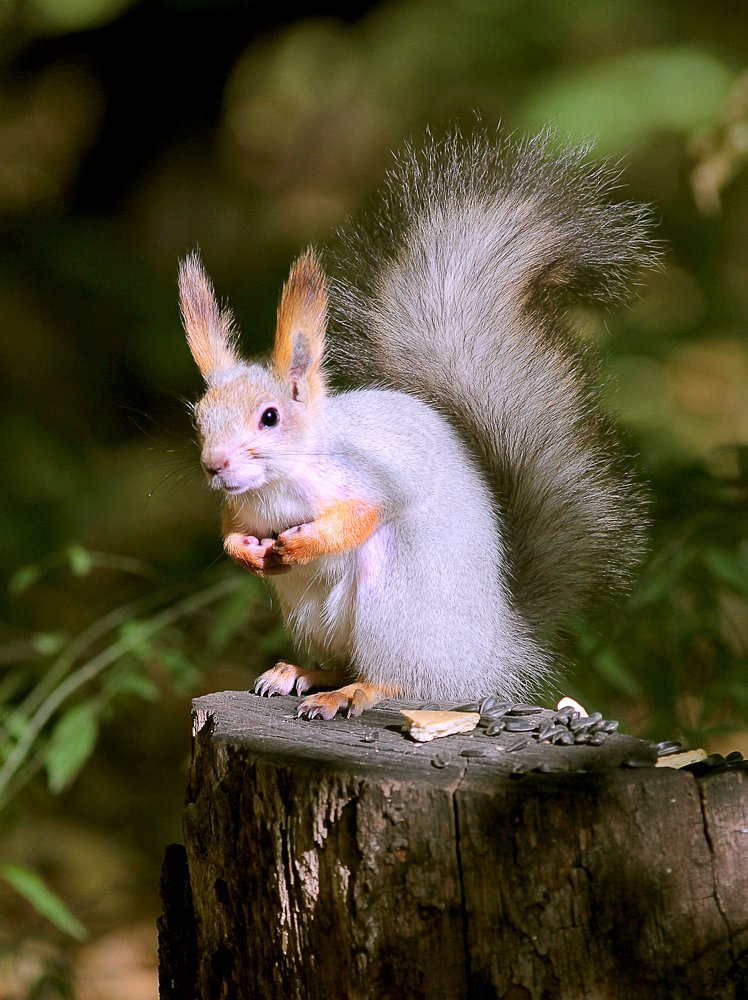 Photograph by Олег