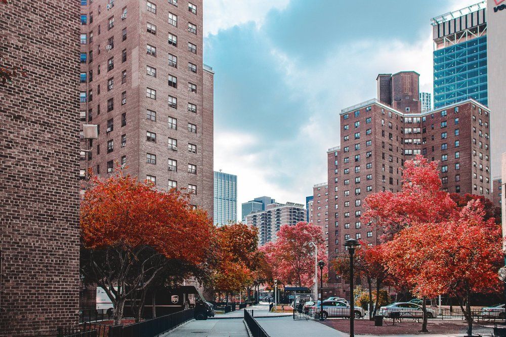 Photograph by Mikita