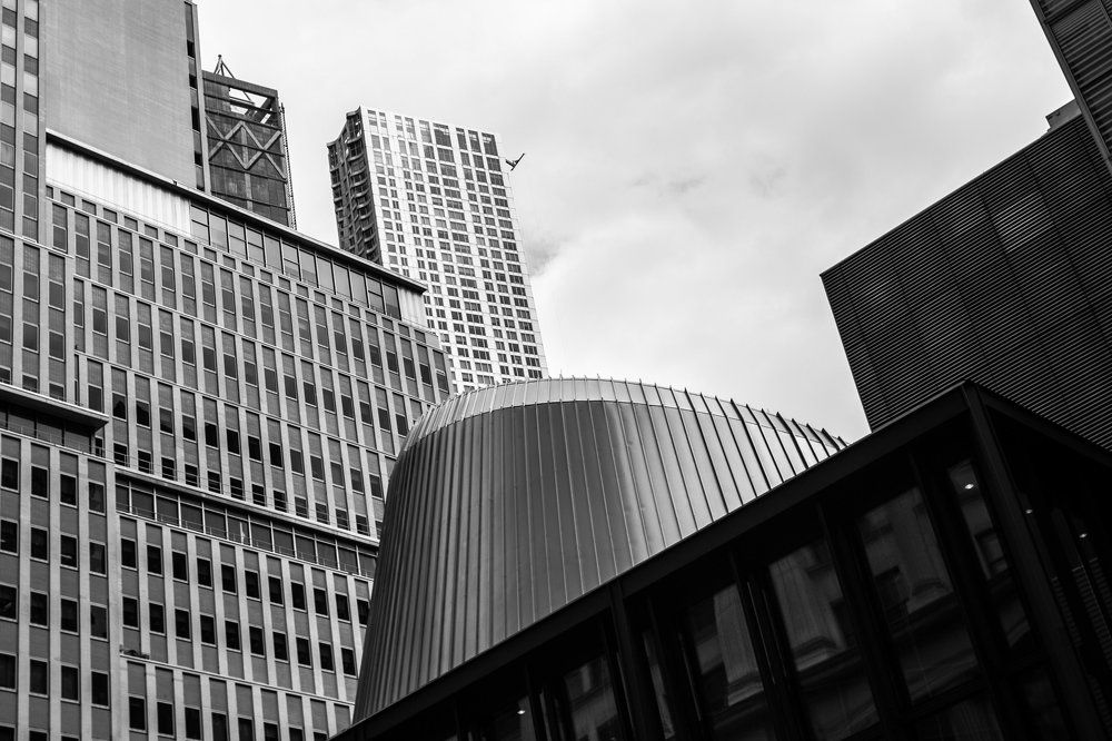 Photograph by Mikita