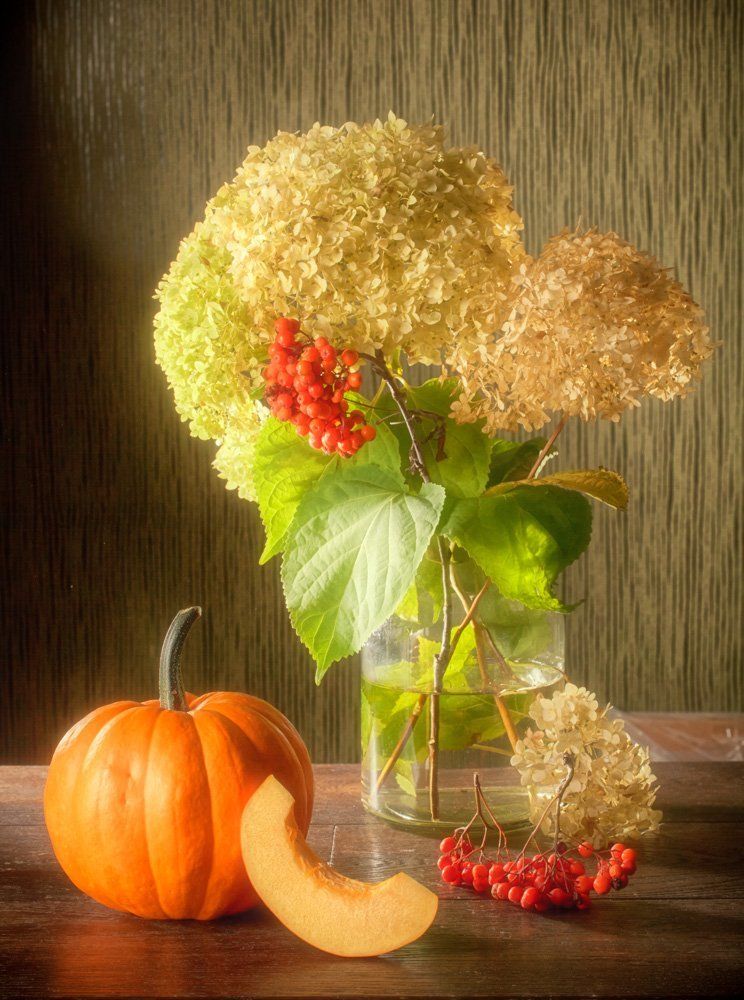 В солнечном свете