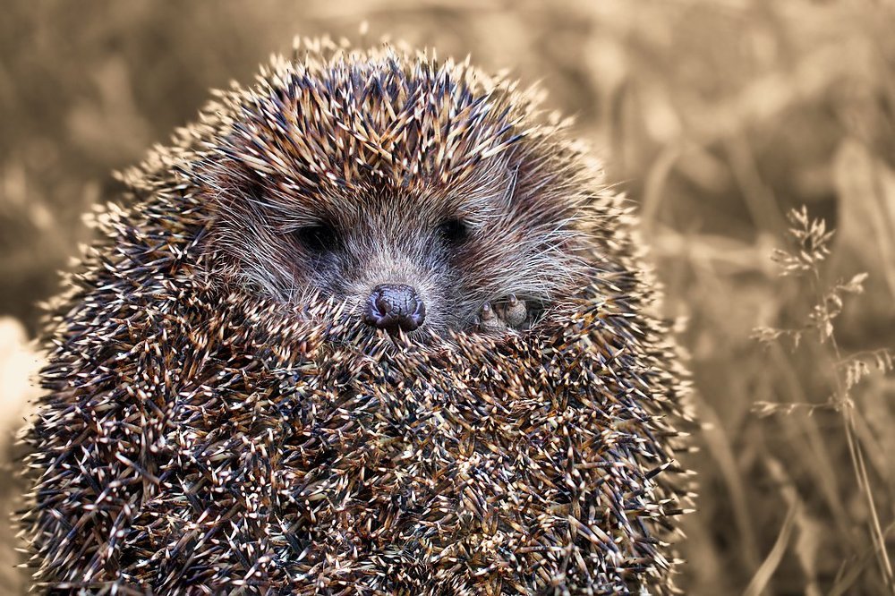 Ты только представь себе: меня нет, ты сидишь один и поговорить не с кем...