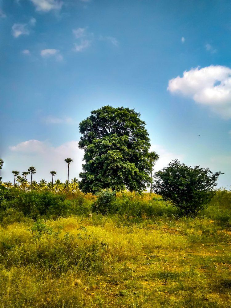 Photograph by Vijay Poosapaati