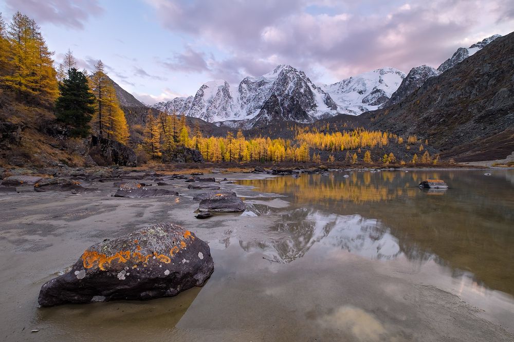В ожидании единорогов