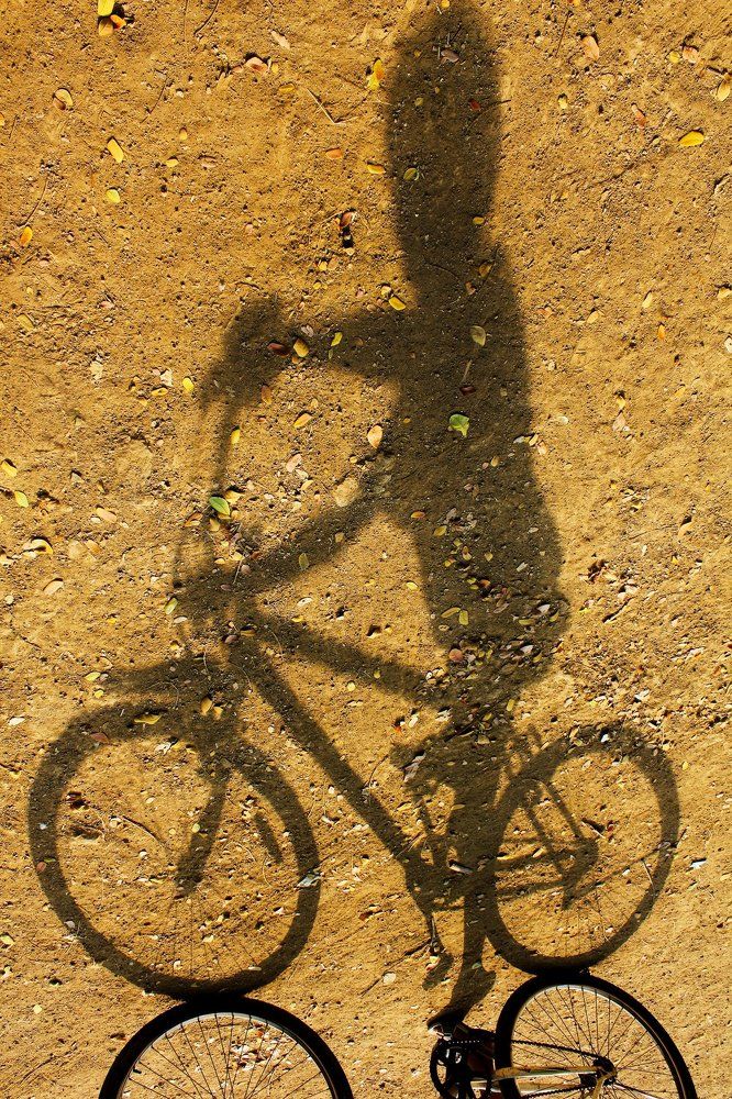 Light & Shadow