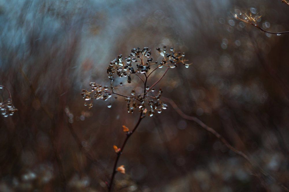 Photograph by Беспалова Анастасия