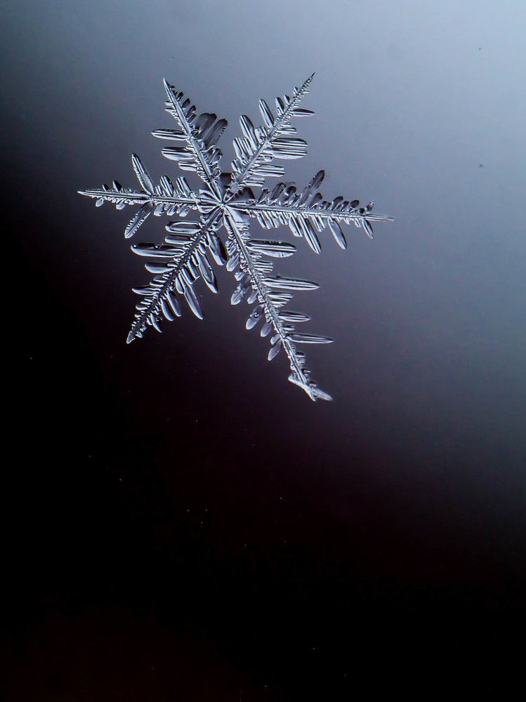 Снежное чудо