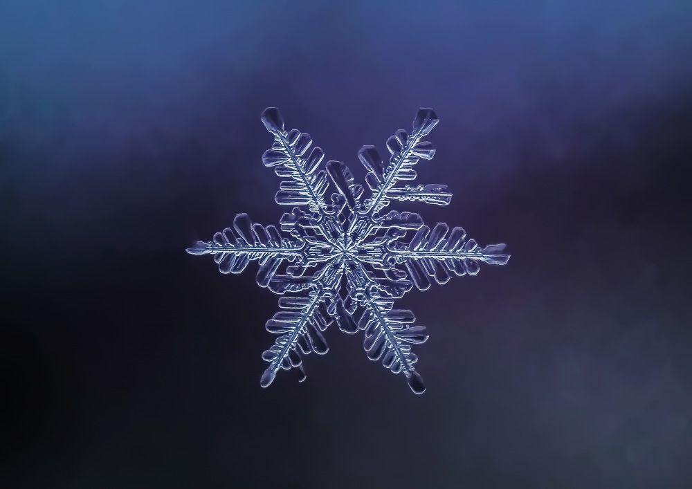 Частица метели