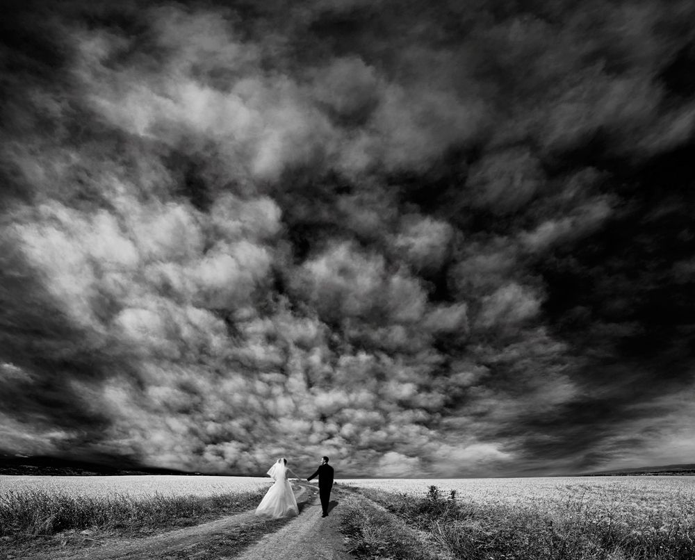 The Girl With Pearl's Hair