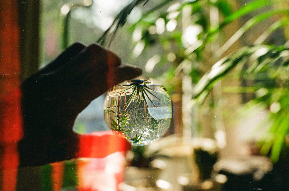 Photograph by Малюгин Даниил
