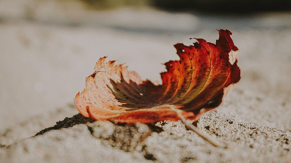 Photograph by Ya Velisoff