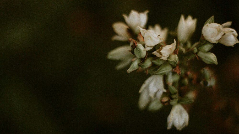 Photograph by Ya Velisoff